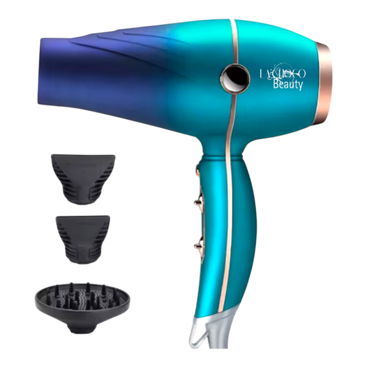 Turbo Ionic Silk Blow Dryer